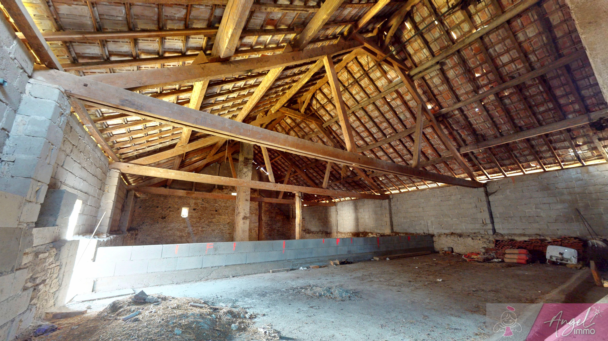 MAISON DE VILLAGE A RENOVER + HANGAR A VRIANGE