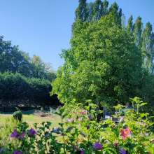 Gallery item